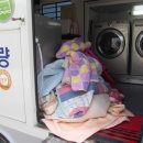 삼호1리 이미지