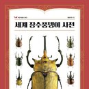행복한 곤충 이미지