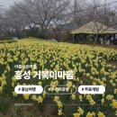 갈산면 이동마을회관 | [충남] 홍성 거북이마을 충남수선화명소 홍성벚꽃 무료개방 거북이빵 카페옥토