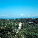 허니문 여관 이미지