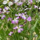 안금농장 이미지