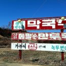 신흥약수터 네이버블로그