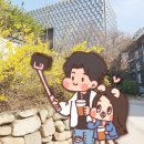 젠토리 이미지
