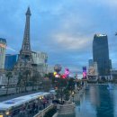 남사 룸앤텔 | 미서부 자유여행 그랜드캐년 일정 (+미국 렌트카 비용 보험 네비어플)