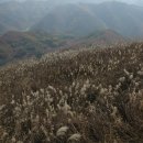 삼례약수 이미지