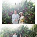 루나플라워 이미지