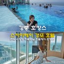 피자알볼로동해점 | 스카이베이 경포 호텔 수영장 조식 강릉 호캉스 후기