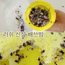 러쉬 lush 신제품 3.3만 배쓰밤 / 캐리스 시크릿 가든 리미티드 / 꽃잎 가득한 반신욕 / 내돈내산