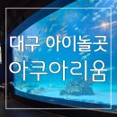 바다세상 | 대구 아이와 놀곳 : 실내에 펼쳐지는 바다속 세상 대구 아쿠아리움 후기