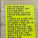 캣카페 낭만고양이 이미지