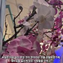 무아