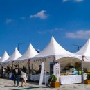 사회적기업 푸른하늘 이미지