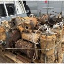 성실자원 이미지