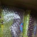 유로게러지 | 3월 (2/2)