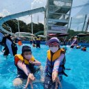 매화 초등학교 병설유치원 | 2022 한국파워점핑클럽 팔달초점 로만바스 워터파크 후기