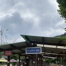 여름목장 | 양평 양떼목장 무더운 한여름 방문후기 °˙˚。˚。°˚˙