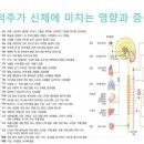 바른자세척추운동 이미지