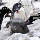 아이콘싸인 이미지