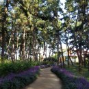 GS25장항솔바람점 이미지