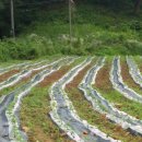 덕우농장 이미지