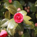 남해-234 이미지