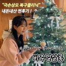 7452 | [공지] 비주얼살롱 신사역 미용실 복구클리닉 가격 소요시간 내돈내산 솔직 후기