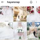 하얀파크 | [하얀스냅] 보타닉파크웨딩 본식스냅 예약후기