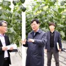 토마토 빌리지 이미지