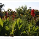 김경숙농장 이미지