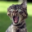 뮤엠영어 이미지