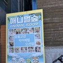 을숙도대교영업관리소 | 광안대교에 귀여운 동물까지! 실내 데이트, 아이랑...좋은 애니멀숲 직접 방문 후기(가격, 주차 정보)