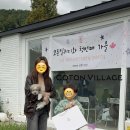 코튼빌리지 부산본점 이미지