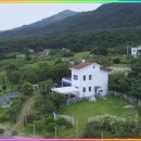 컴투펫 위탁보호센터 이미지