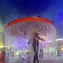 웅진한우 이미지