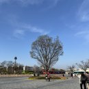 순천만국가정원 시크릿가든 화장실 | 순천 아이와 가볼만한곳 순천만국가정원 튤립 개화시기 입장료 동물원