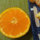 박정한농장 Daum카페