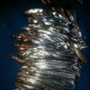 월항민박 이미지