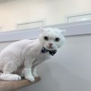 포리네 민박 이미지