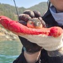 바다위통나무펜션씨그리메 | 통영