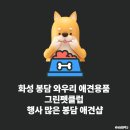 그린펫클럽 이미지