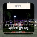 (주)신아주이트럭 | 광양 해비치로 달빛해변 야경 명소 푸드트럭 버스킹 후기