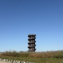 (주)바칸 | 임신 23-24주차 : J엄마의 육아템사기