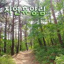 7번국도 따라 봄 감성여행 5부... 영덕 칠보산 자연휴양림 & 월송정 이미지