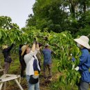 동진면사무소 이미지