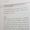 향문사 수목학충학(19년도)-호두나무잎벌레 이미지