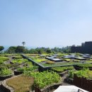 JW marriott jeju resort & spa | JW Marriott Jeju Resort &amp; Spa (1)