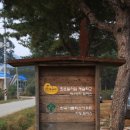 전곡초양원분교장 | 花요일 아침 예술학교에서 ...