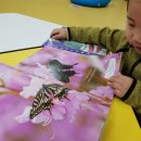 원고개도서관 이미지