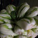 영자농장 이미지