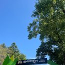 CU 무주대로점 | 2024 무주 반딧불 축제 후기/무주 반딧불 신비탐사 후기